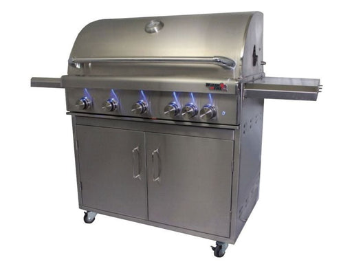 Dragon Fire 40-inch freestanding stainless steel gas grill on cart